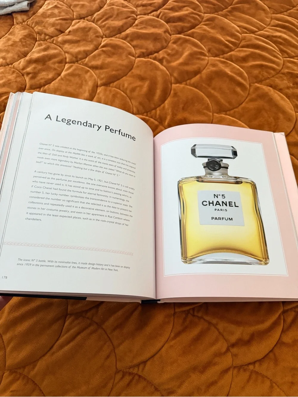 CHANEL beautiful brand